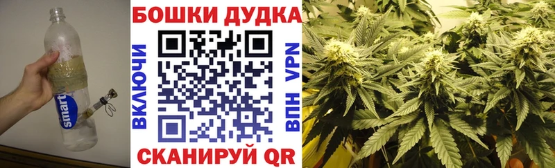 Канабис семена  darknet клад  Багратионовск  блэк спрут зеркало 